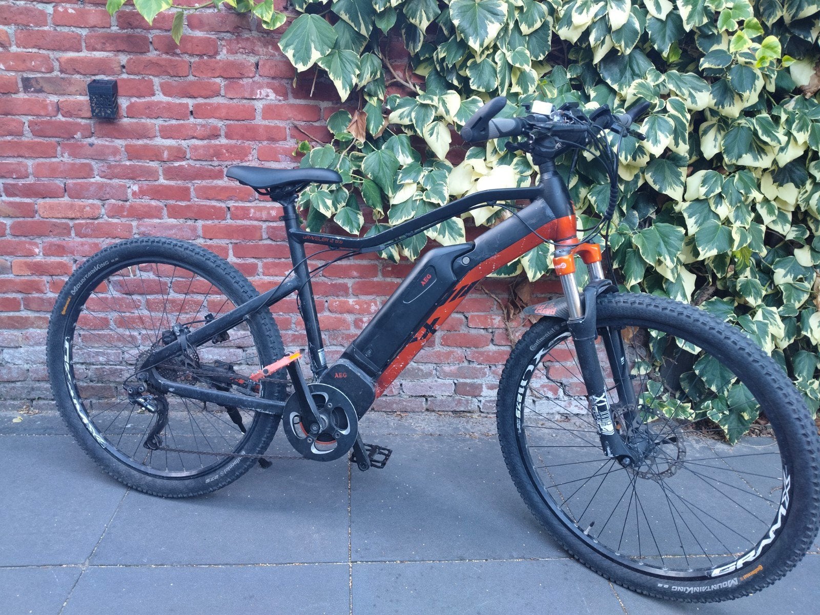 Vélo de montagne électrique E-MTB Prophete à moteur central, Vélos & Vélomoteurs, Vélos électriques, 55 à 59 cm, Enlèvement, Utilisé