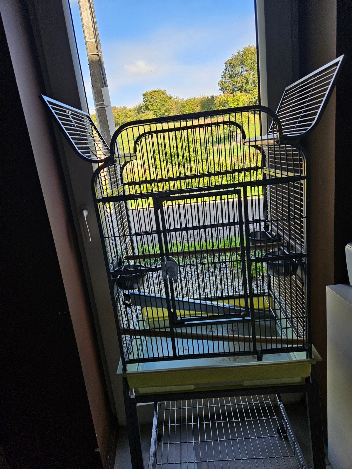 Cage à oiseaux, Enlèvement, Utilisé, Cage à oiseaux