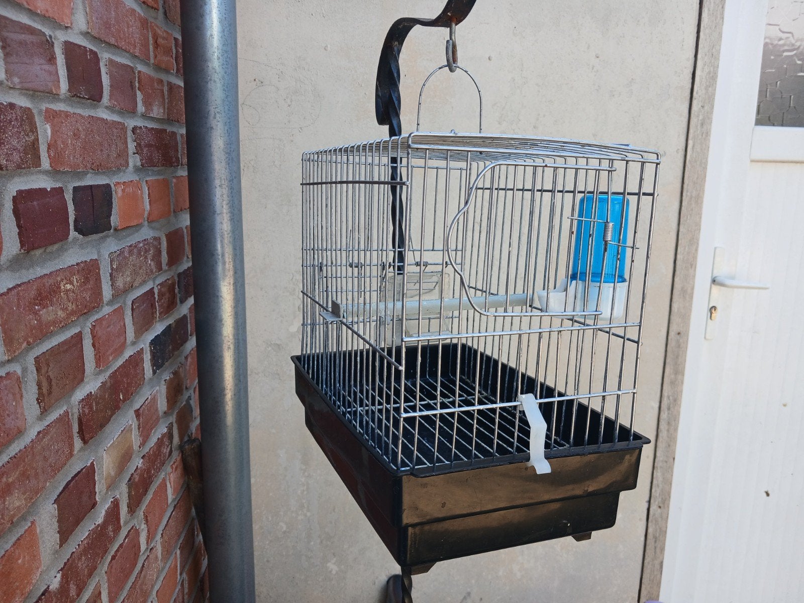 Cage de chant, Enlèvement ou Envoi