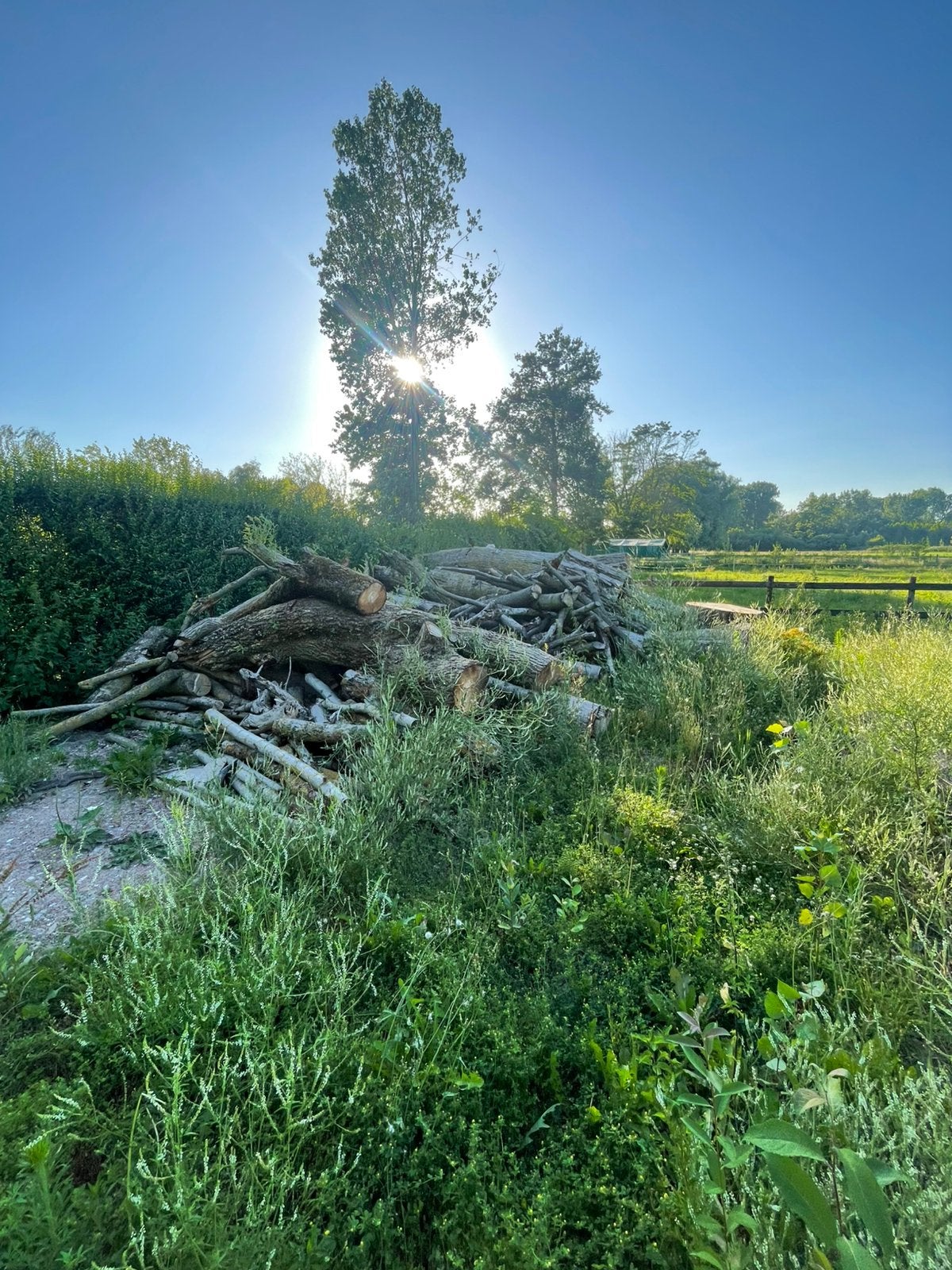 Brandhout, Tuin en Terras, Brandhout, Ophalen