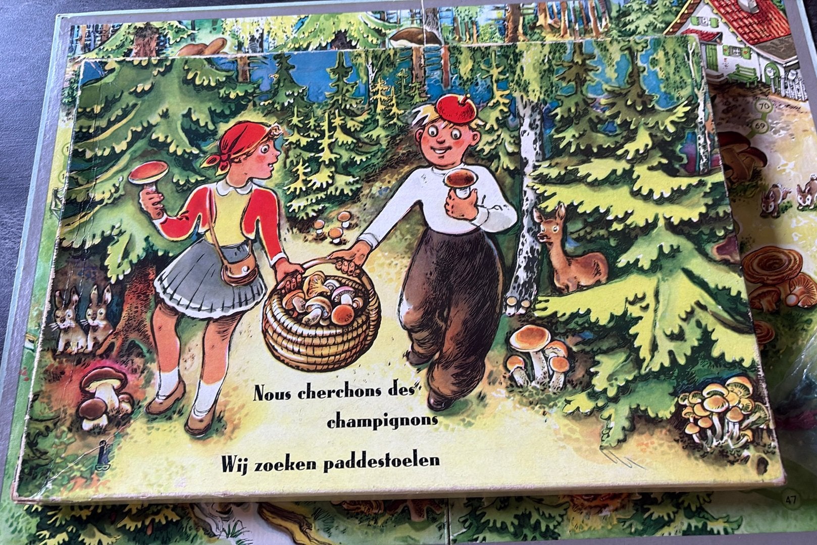 Zeldzaam Vintage Bordspel "Wij zoeken paddestoelen, Antiek en Kunst, Antiek | Speelgoed, Ophalen of Verzenden