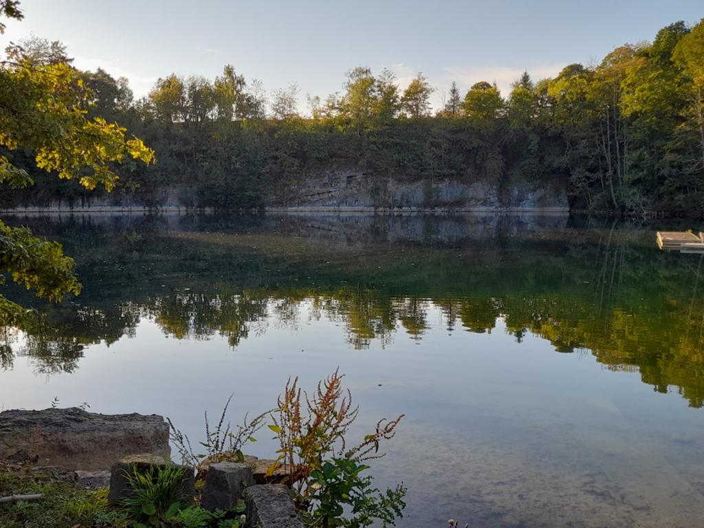 Vente etang au enchères publics, Immo