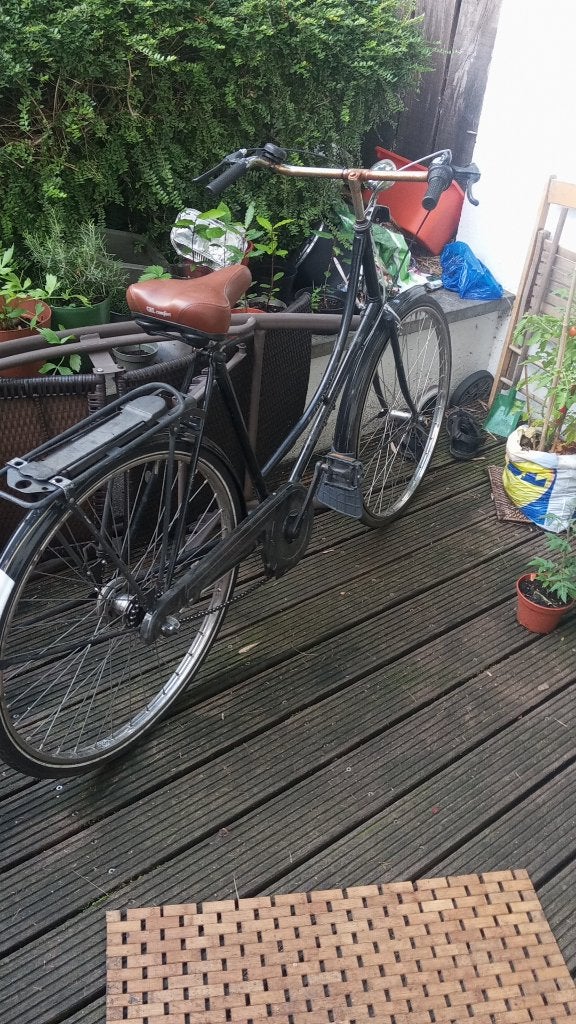 Vélo de ville Easybike classique/vélo Granny - 3 vitesses, Vélos & Vélomoteurs, Vélos | Femmes | Vélos grand-mère, Frein à rétropédalage