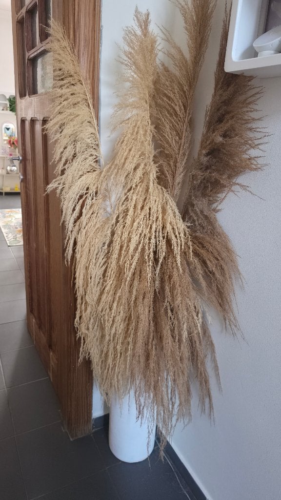 Décoration Herbe de pampa et autres., Ophalen, Nieuw