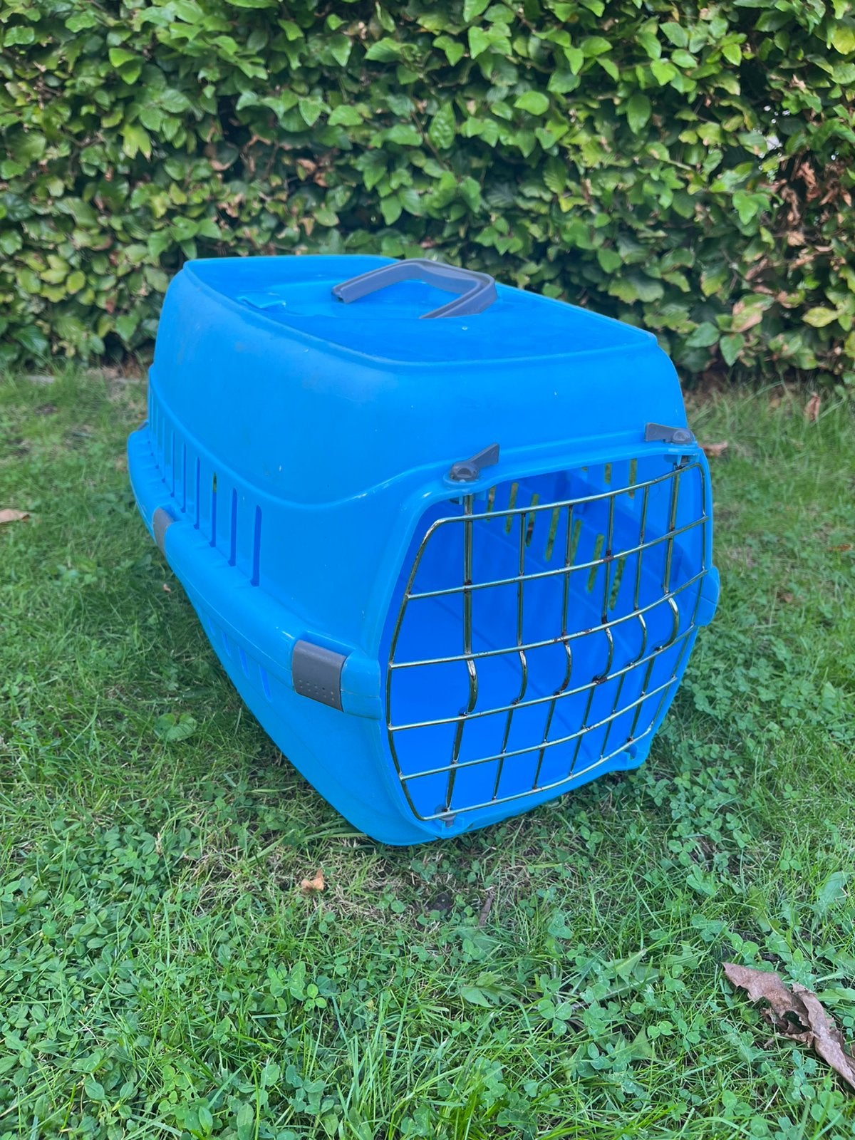 Reismand, Dieren en Toebehoren, Ophalen, Gebruikt