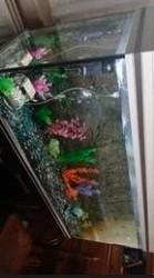 Groote aquarium, Chauffage, Enlèvement, Autres marques, Meuble d'aquarium