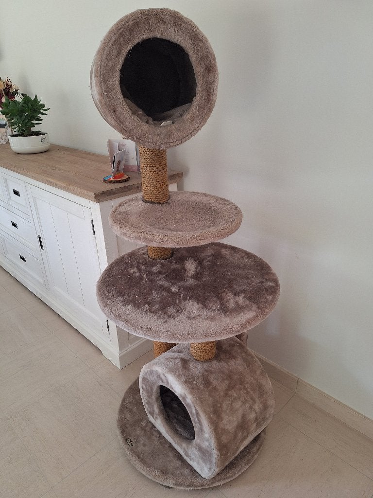 Arbre à chat, Animaux & Accessoires, Enlèvement, Utilisé, Griffoir