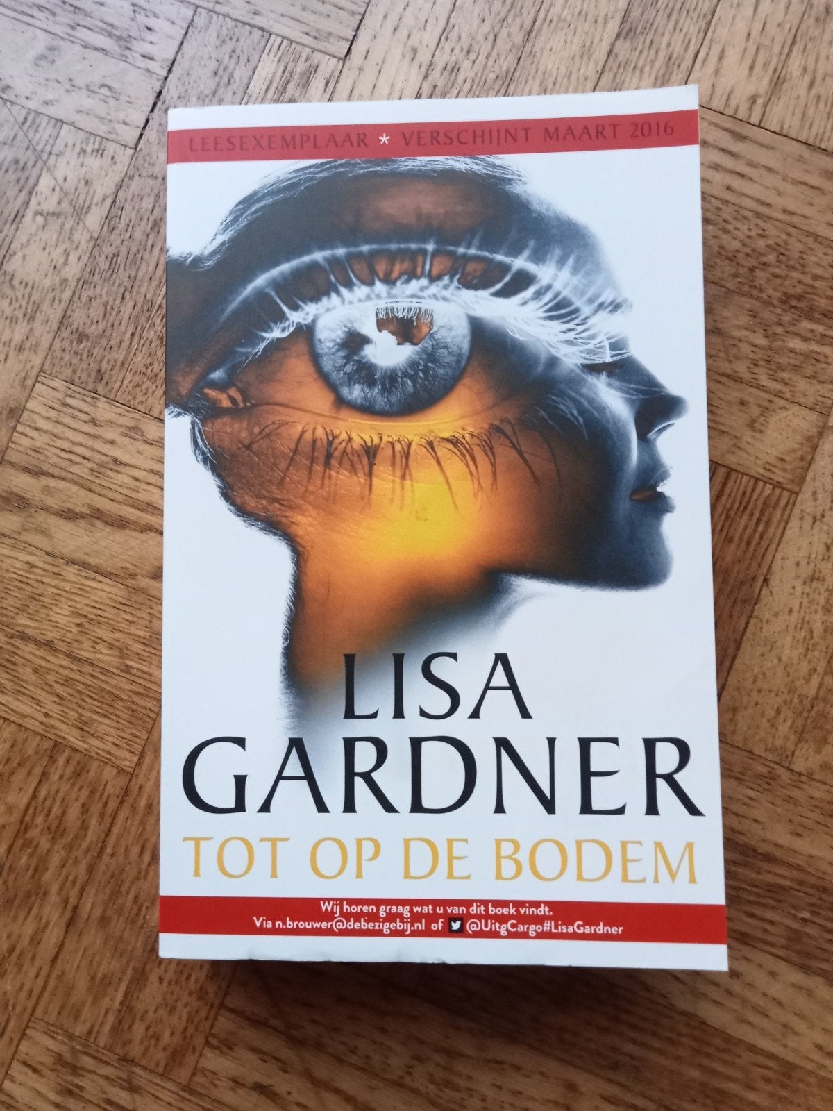 Lisa Gardner: Tot op de bodem, Livres, Thrillers, Utilisé, Enlèvement ou Envoi