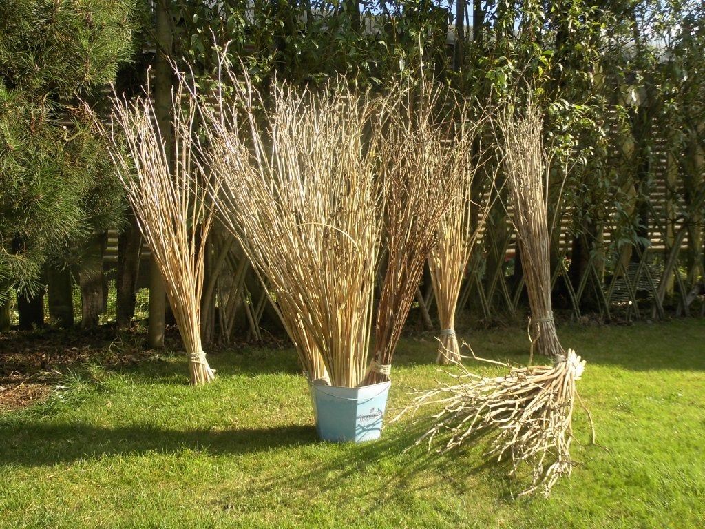 Bouquets de Branches  sèchées  DECORATION, Maison & Meubles, Enlèvement, Utilisé