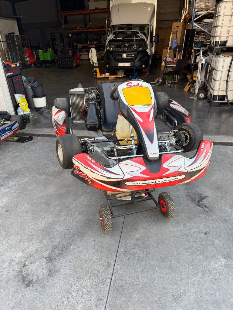 Kart rotax max, Sports & Fitness, Karting, Enlèvement ou Envoi, Utilisé, Kart