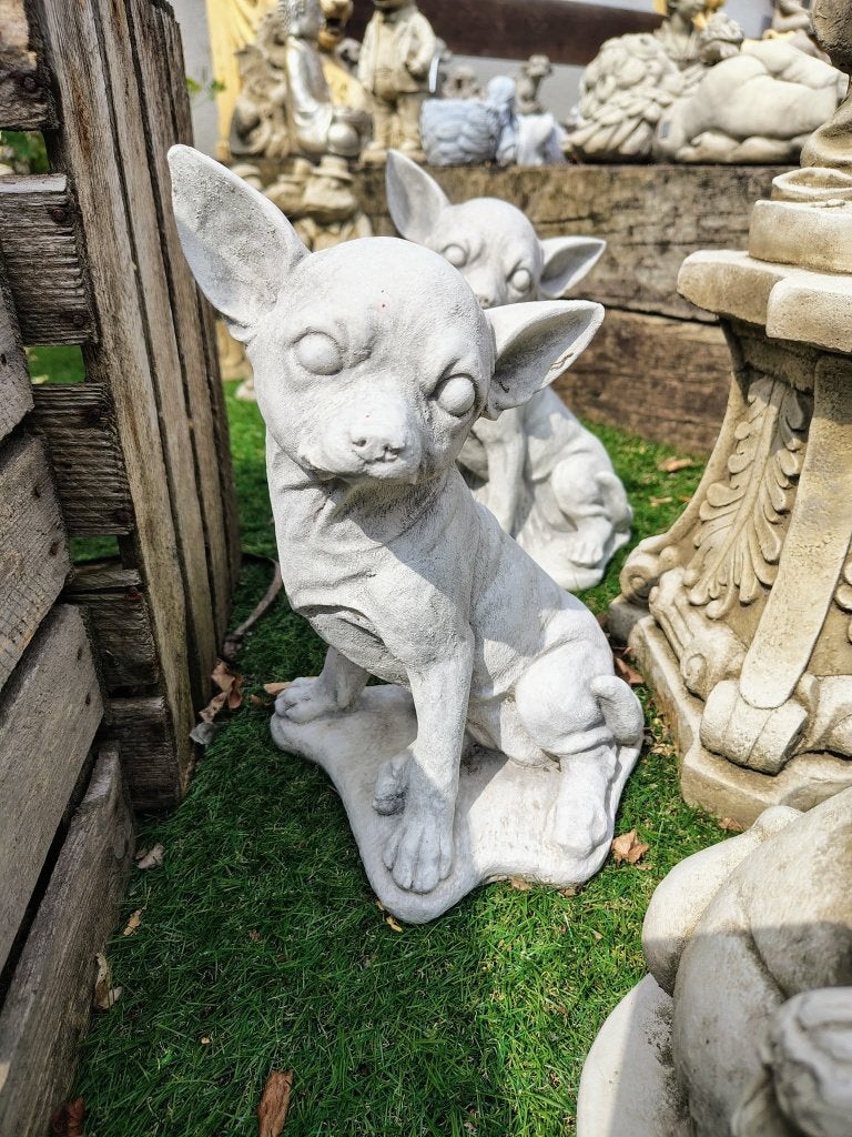 Betonnen tuinbeeld - chihuahua, Ophalen of Verzenden, Nieuw, Beton, Dierenbeeld