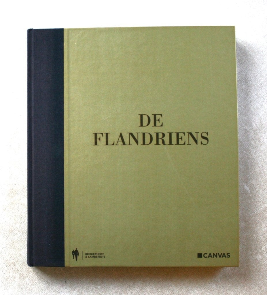 De Flandriens., Boeken, Lopen en Fietsen, Ophalen of Verzenden, Zo goed als nieuw, Michel Wuyts