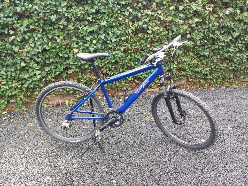 Mountainbike, Ophalen, Zo goed als nieuw, 24 inch