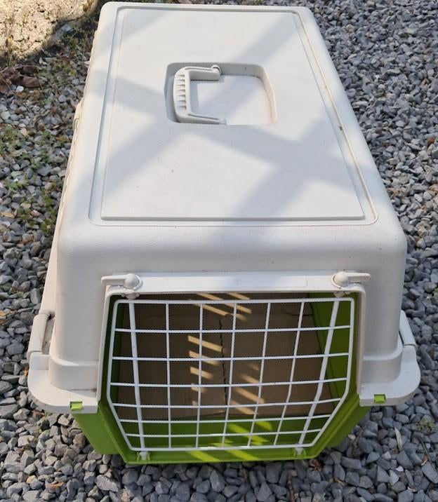 Cage de transport pour chats, Animaux & Accessoires, Boîtes de transport, Utilisé, Enlèvement