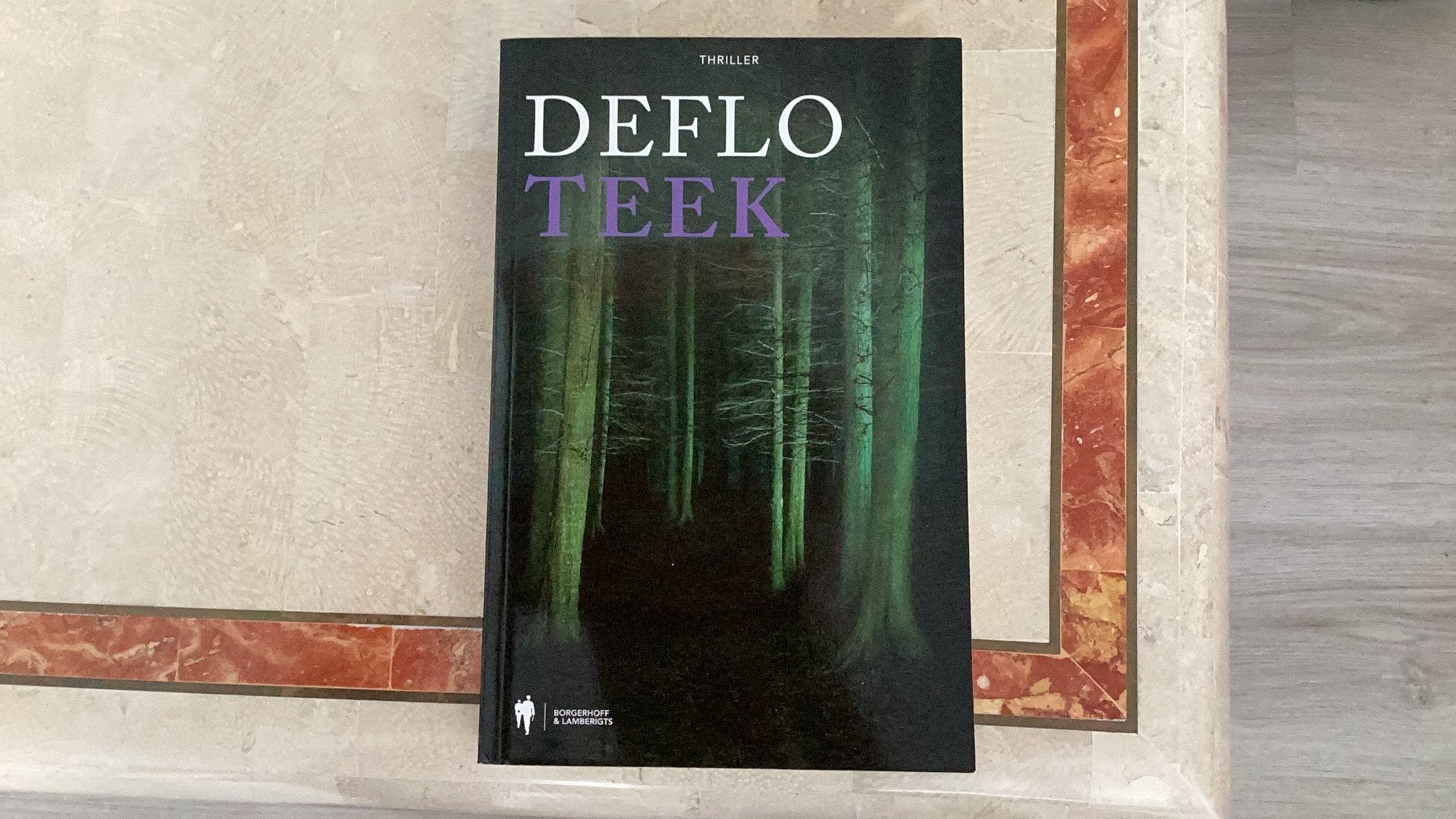 Luc Deflo - Teek, Boeken, Thrillers, Zo goed als nieuw, Ophalen