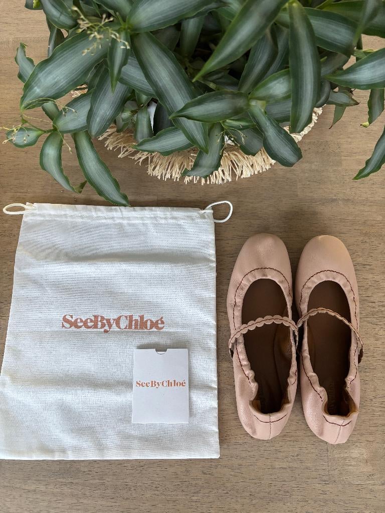 Ballerina See By Chloé maat 36, Kleding | Dames, Schoenen, ANDERE, Overige kleuren, Nieuw, Ballerina's