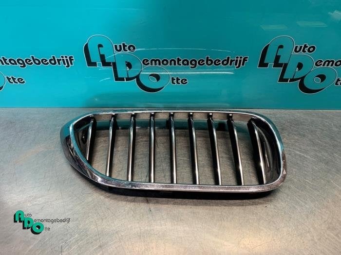 Calandre d'un BMW 5-Serie (5-Serie 10-), -, 3 mois de garantie, Utilisé, -