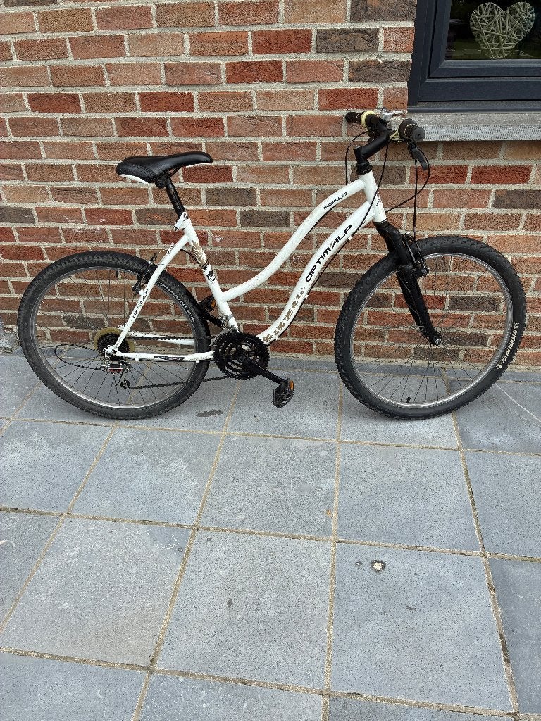 Vélo VTT, Vélos & Vélomoteurs, Enlèvement, Utilisé