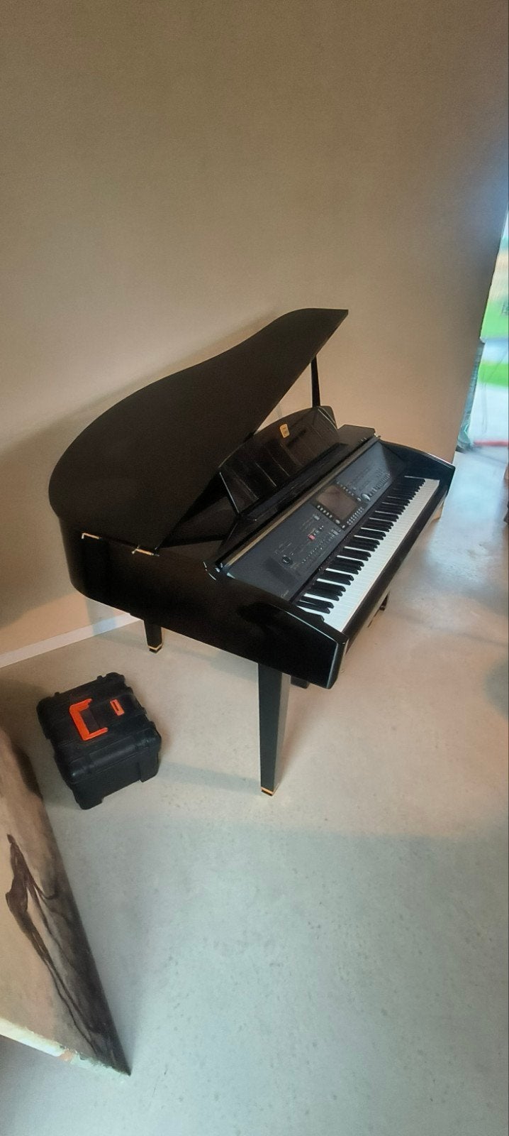 digitale baby vleugel piano, Enlèvement, Piano