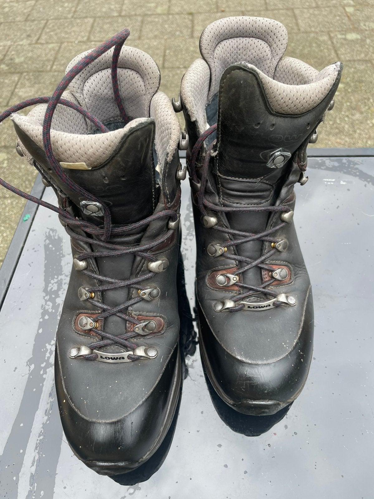 Stevige Wandelschoen (LOWA), Sport en Fitness, Ophalen of Verzenden, Zo goed als nieuw, Schoenen