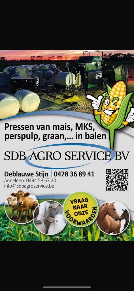 Mais maispulp pulp mks gemengde balen, Enlèvement, Bétail