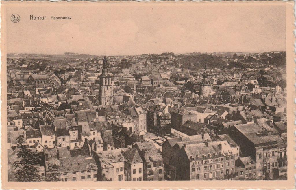 NAMUR PANORAMA  CPA, Enlèvement ou Envoi, Non affranchie, Namur