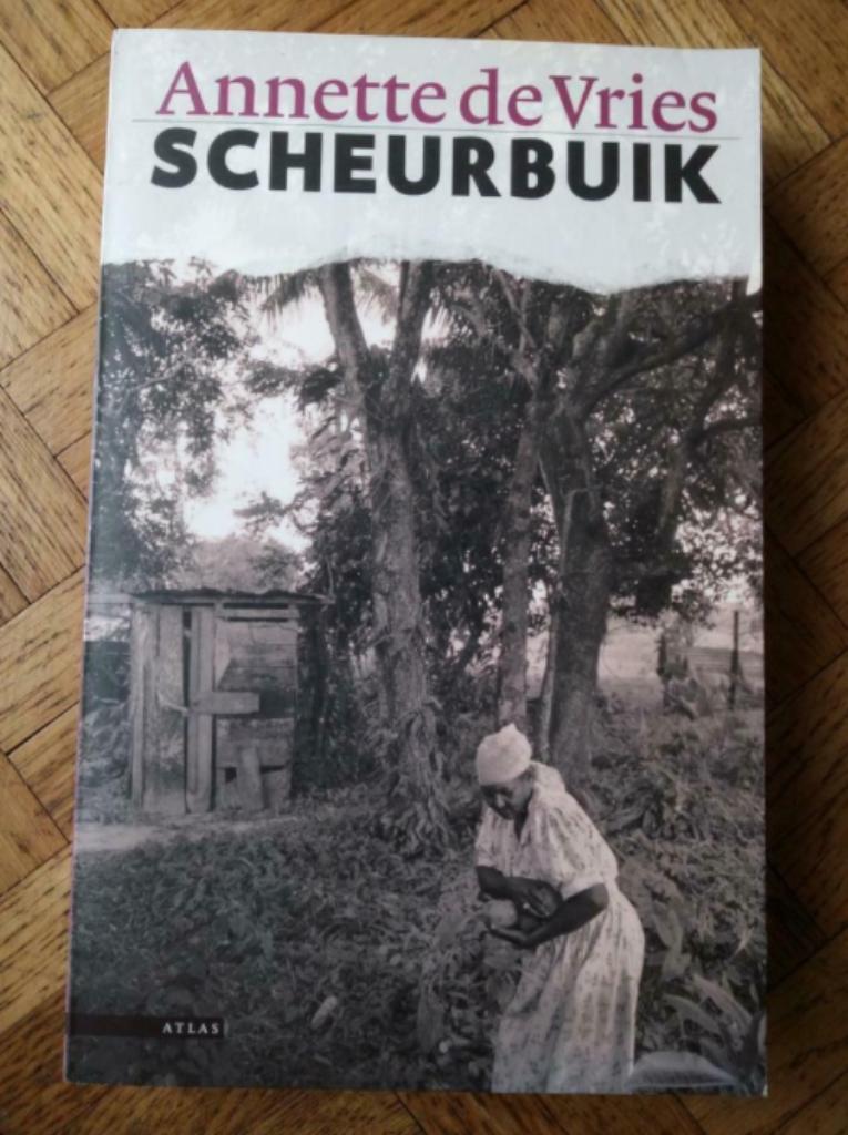 Annette de Vries - Scheurbuik, Boeken, Ophalen of Verzenden, Gelezen, Nederland