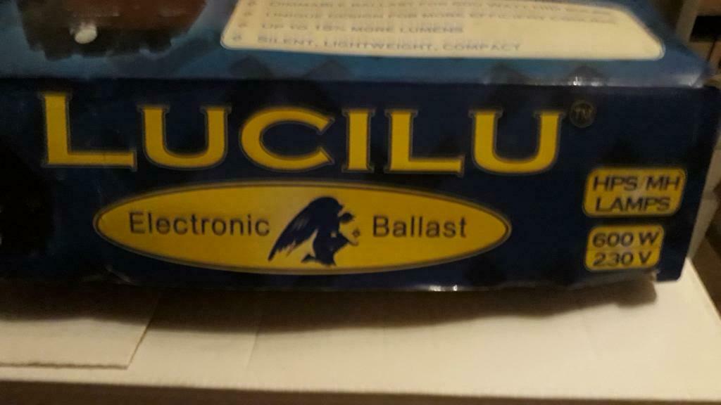 Ballast, Enlèvement