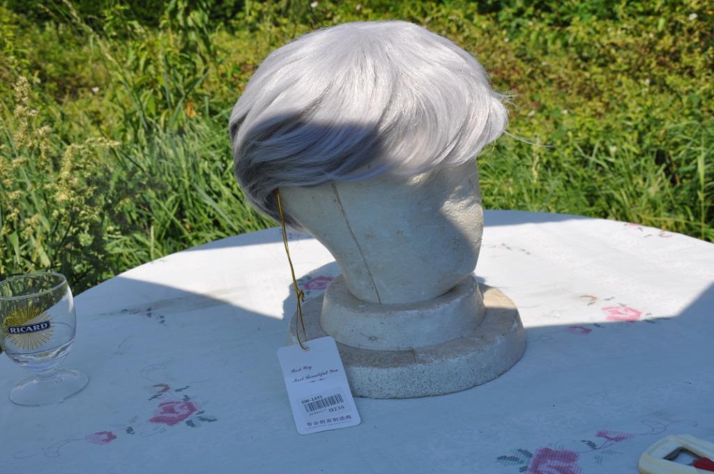 §  perruque synthetique grise neuve (6), Enlèvement ou Envoi, Neuf, Perruque ou Extension de cheveux