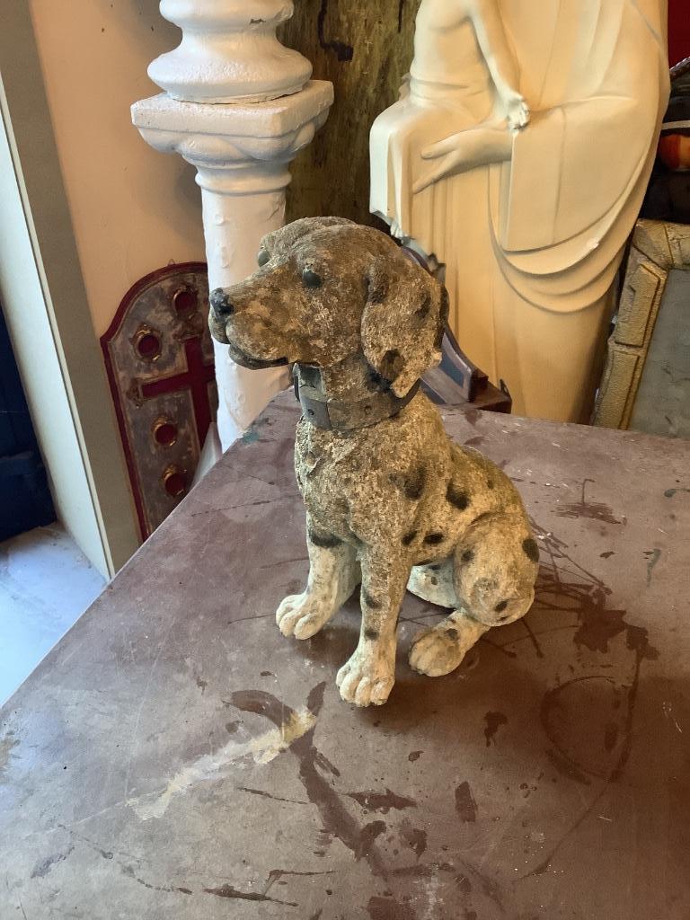 Dalmatiër ( geweldige Patine), Antiek en Kunst, Ophalen