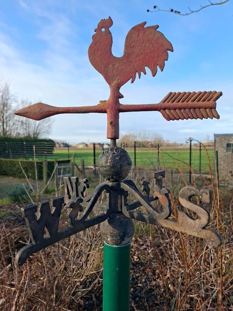 Windhaan, Tuin en Terras, Ophalen