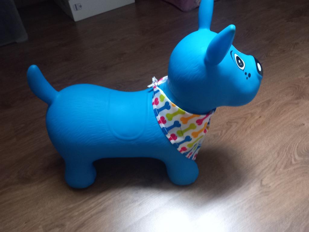 Chien sauteur bleu bébé, Enlèvement, Utilisé, 6 mois à 2 ans