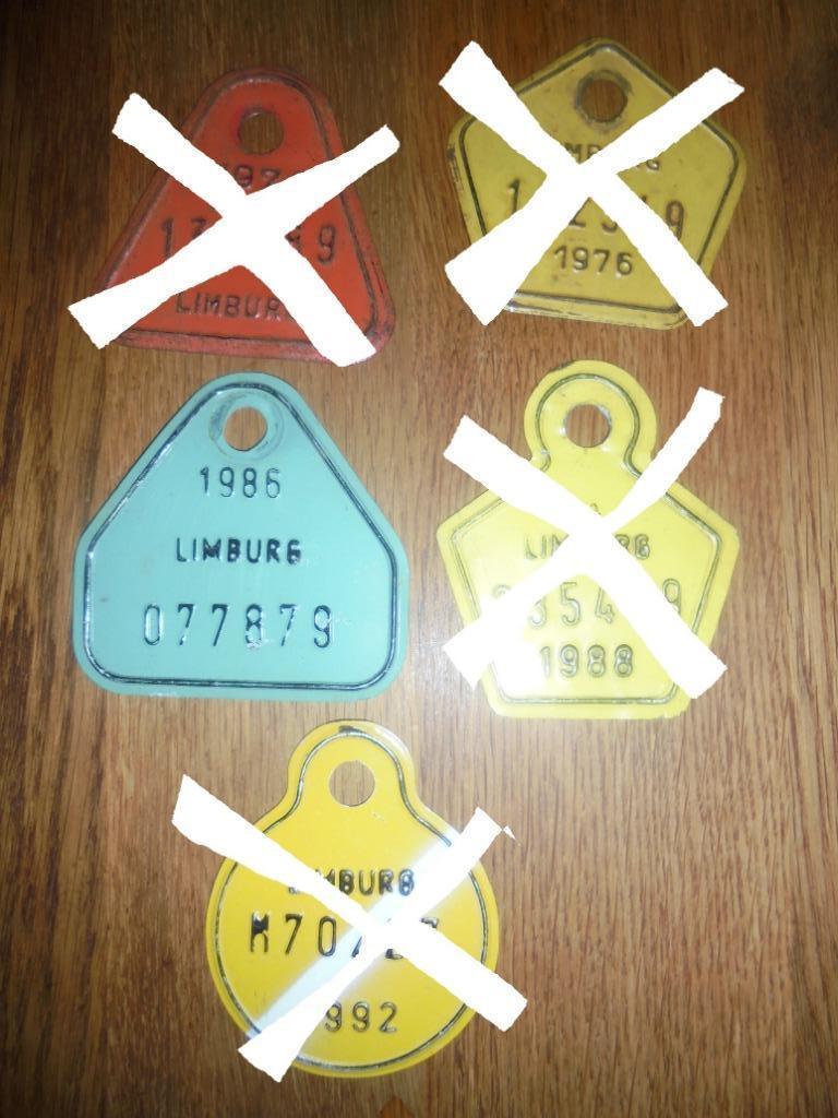 plaques de vélo limburg en étain, Enlèvement ou Envoi