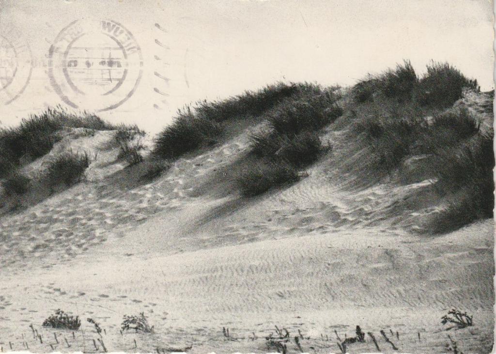 NIEUWPOORT-BAINS  LE SENTIER TRACE DANS LA DUNE, Collections, Enlèvement ou Envoi, Affranchie, Flandre Occidentale
