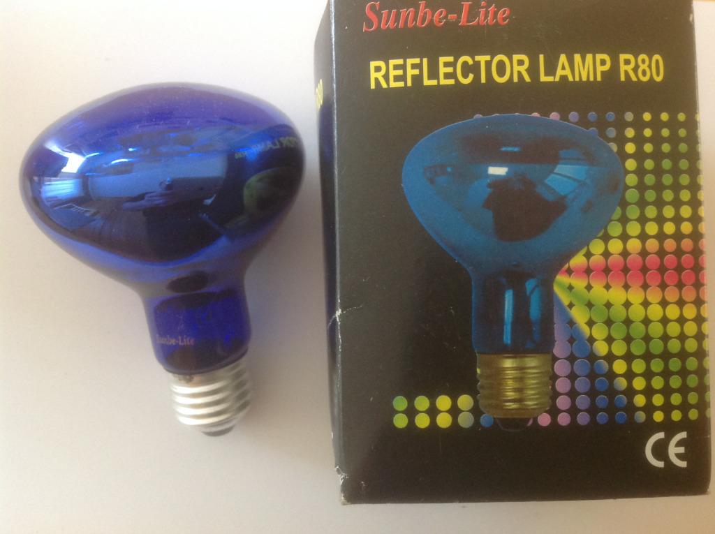 Lamp Reflectorlamp R80 60W E27, Gloeilamp, 60 watt of meer, Nieuw, E27 (groot)
