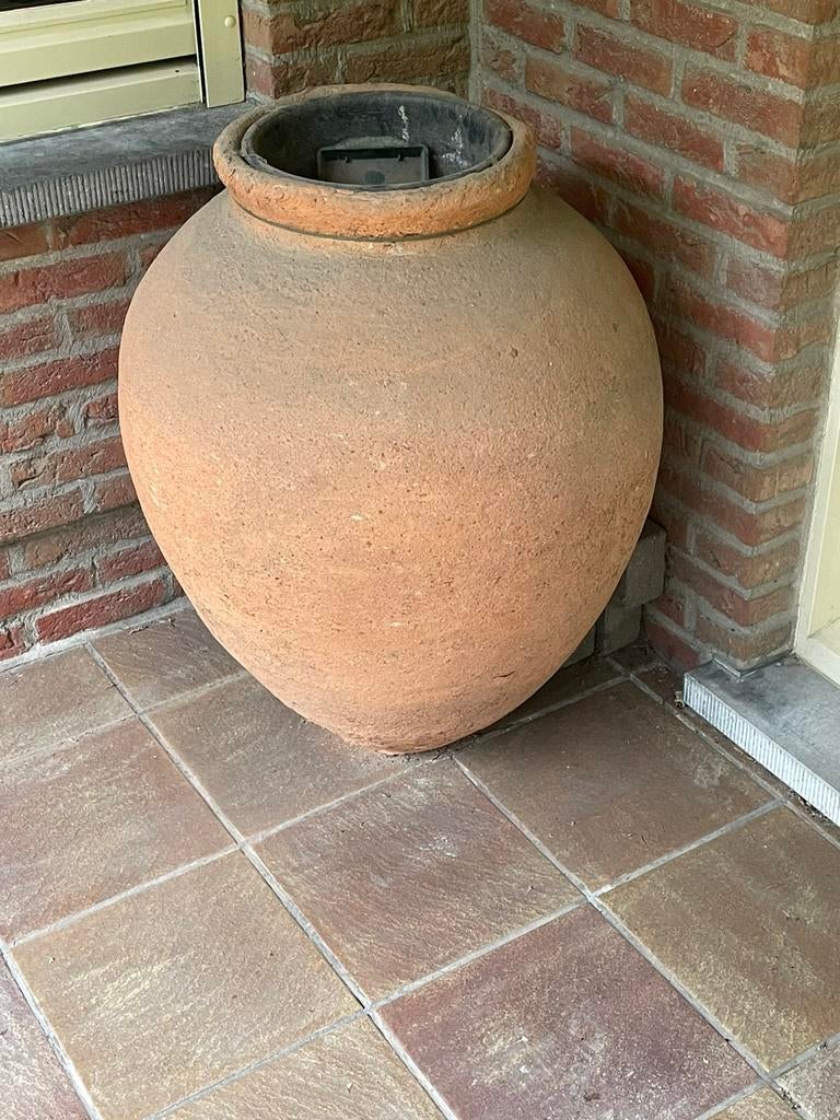 Antieke Portugese graankruik, Ophalen