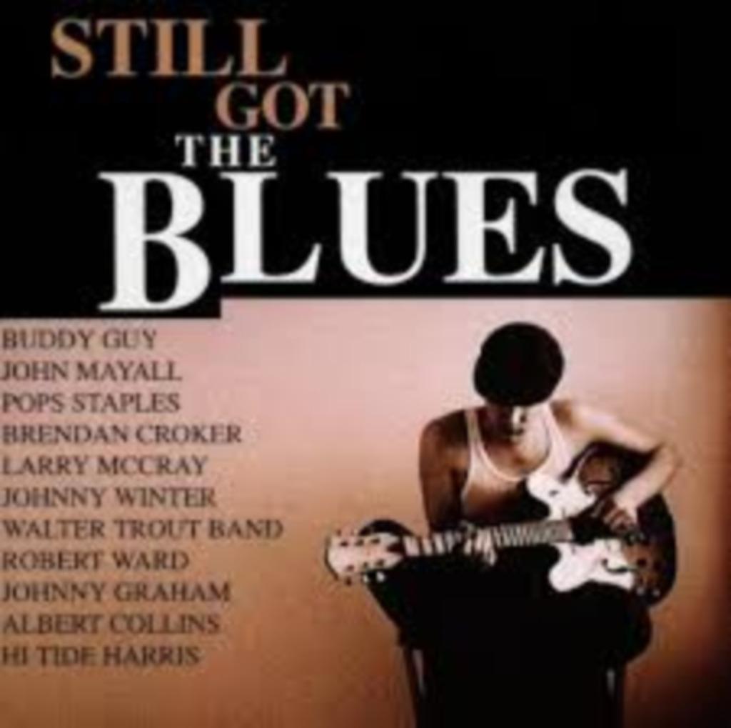 CD Still Got The Blues (2CD)., Ophalen of Verzenden, Zo goed als nieuw, Blues