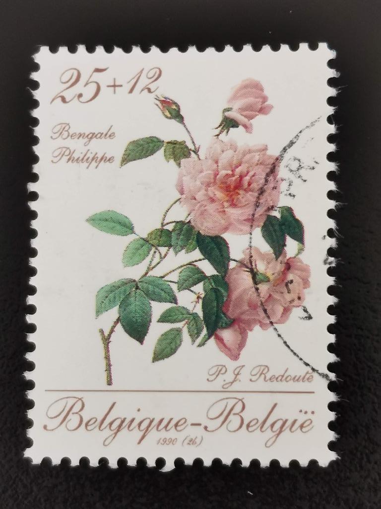 Belgique 1990 - fleurs - Roses Redouté - Philippe rose, Enlèvement ou Envoi, Affranchi, Autre