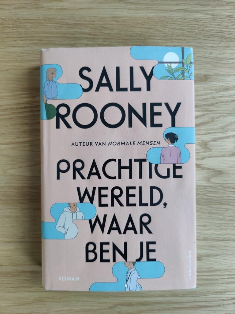 Sally Rooney prachtige wereld waar ben je, Boeken, Ophalen of Verzenden, Gelezen