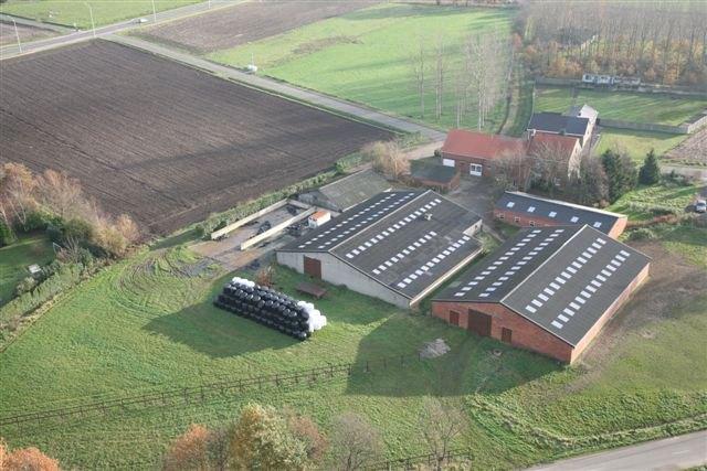 Privé stalling in Geel met nog enkele stallen vrij!, Dieren en Toebehoren, Weidegang