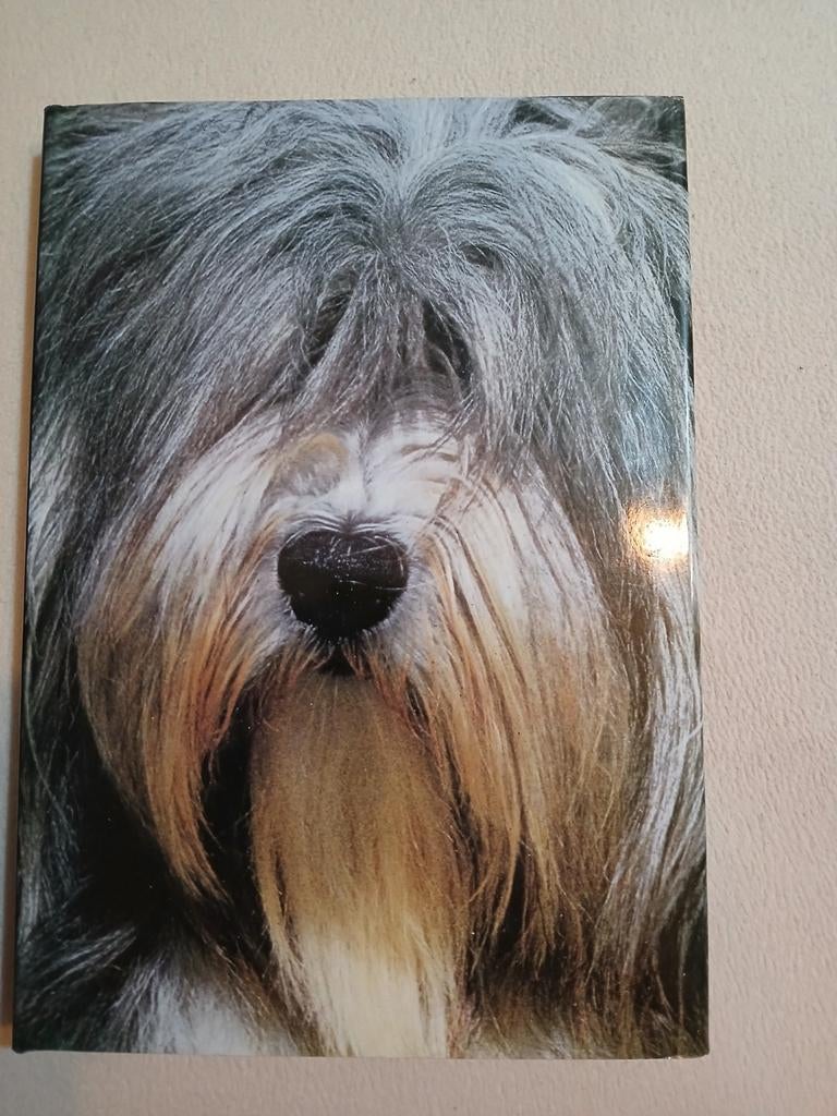 De hond, een mensenvriend, Enlèvement ou Envoi, Utilisé, Chiens, Artis Historia