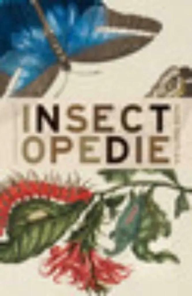 Insectopedie / Hugh Raffles, Ophalen of Verzenden, Zo goed als nieuw