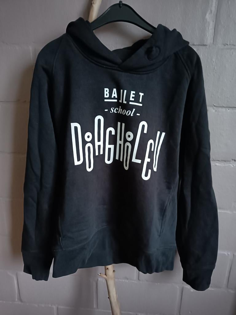 Hoodie maat S Diagiliv dansschool zele, Ophalen of Verzenden, Zo goed als nieuw, Maat 36 (S)