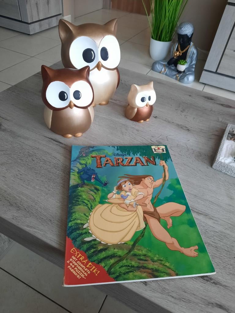 Strip tarzan, Boeken, Stripverhalen, Ophalen of Verzenden