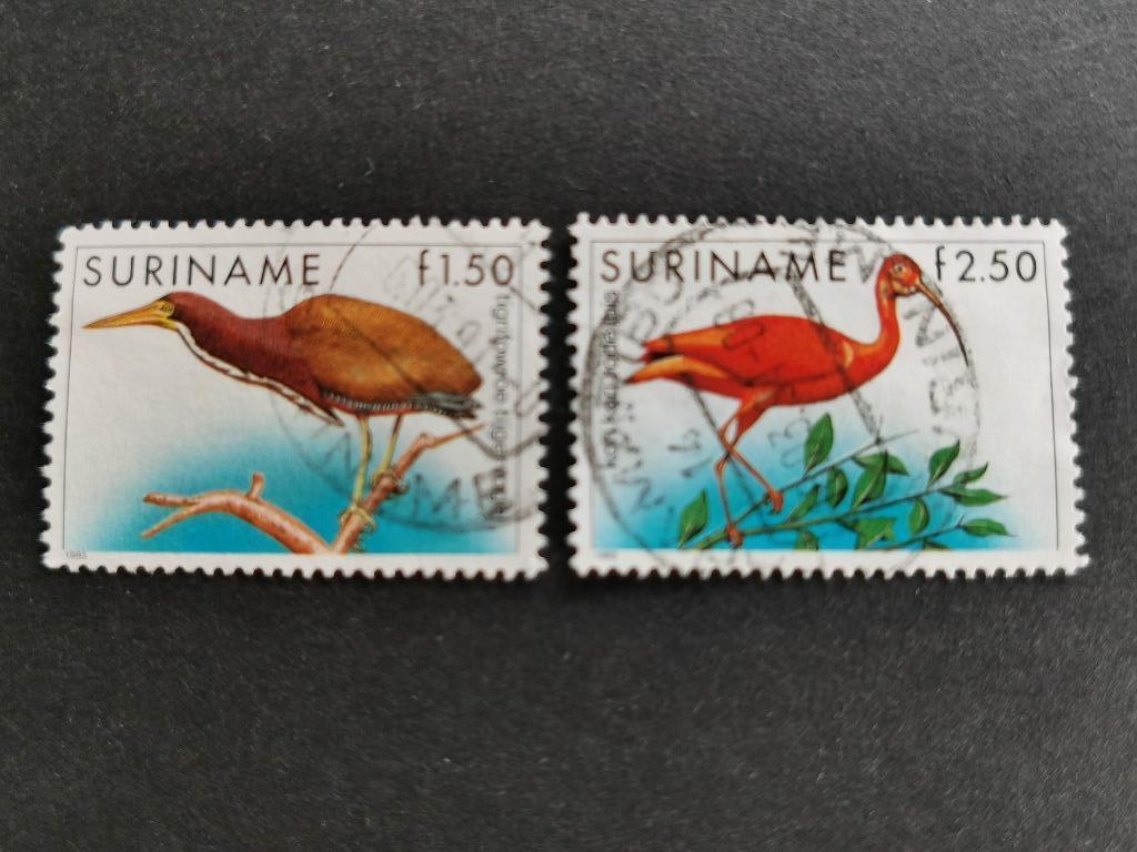Suriname 1985 - vogels, Ophalen of Verzenden, Gestempeld