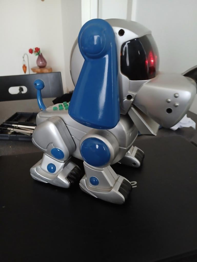 Robot hondje, Enlèvement