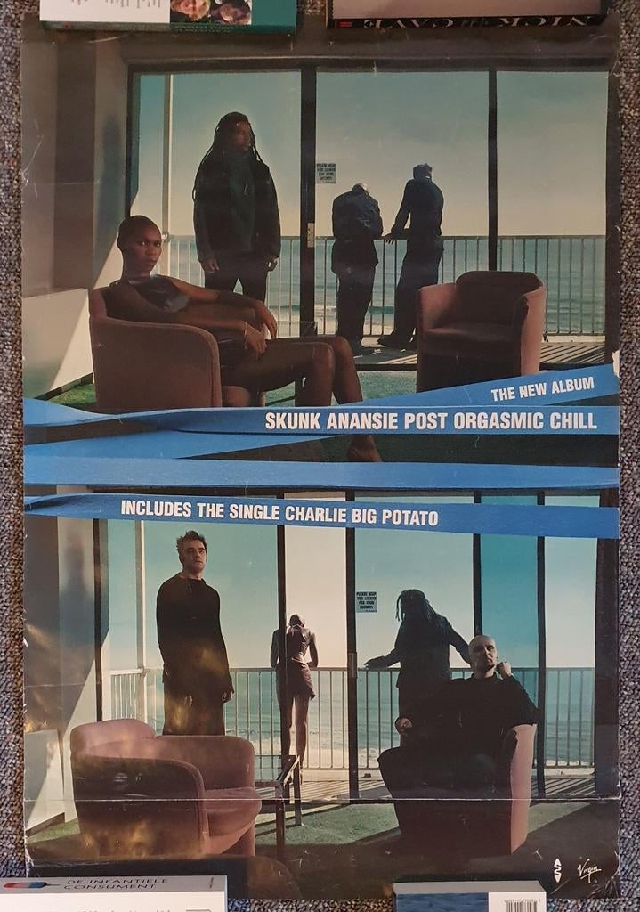 Poster Skunk Anansie, Ophalen of Verzenden, Gebruikt