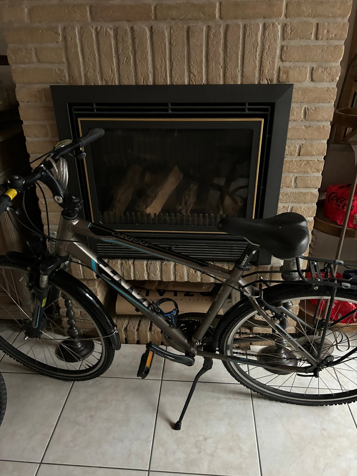 Giant argento fiets, Fietsen en Brommers, Ophalen, Giant