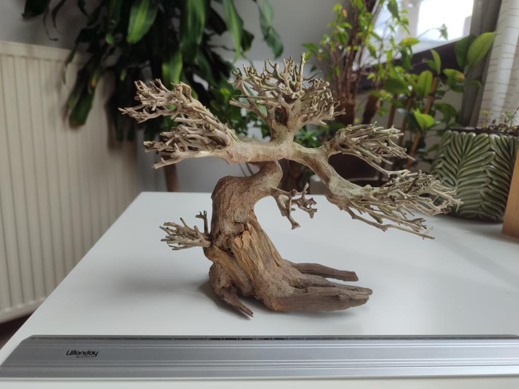 Bonsaï décoration pour aquarium, Animaux & Accessoires