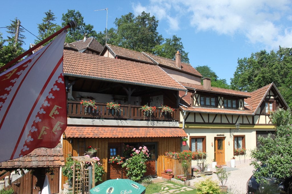 Charmante cottage te huur in de Elzas - Frankrijk, Vakantie, 5 personen, Open haard, In bergen of heuvels, 2 slaapkamers